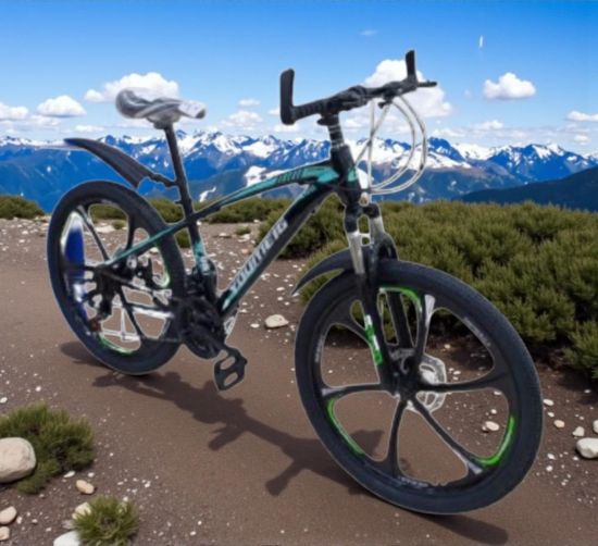 صورة دراجة رياضية بطباعة بالأزرق الفاتح والأسود بكفرات مقاس 24